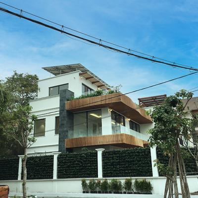 Binh Chanh 1